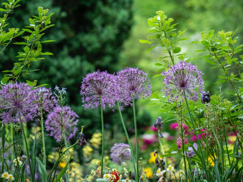 Bespoke Design Service