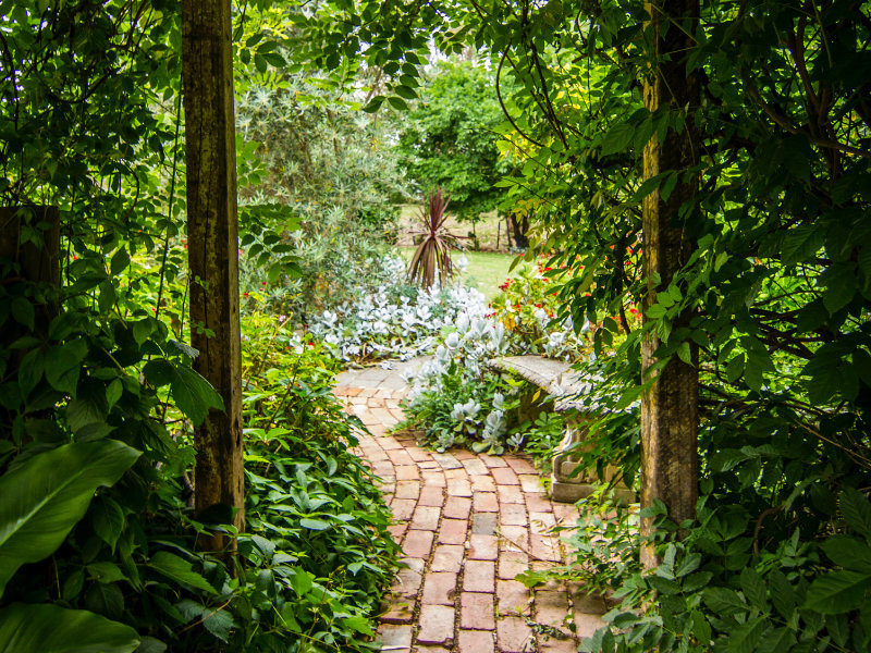 Garden Design in Topsham